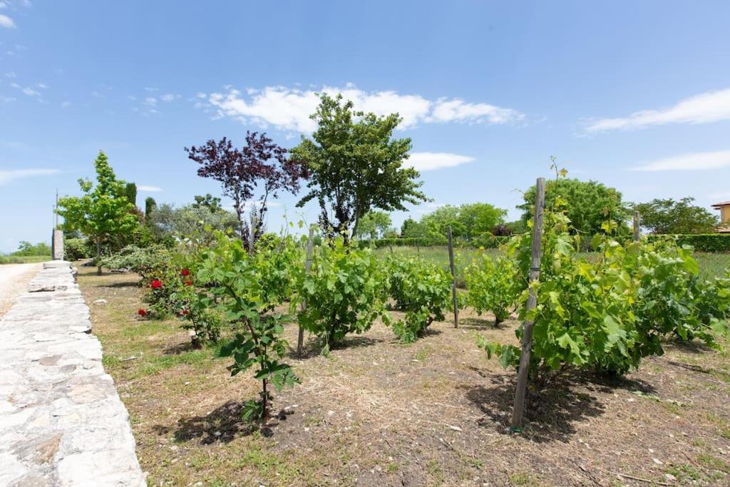 Villa Ruffo カンポバッソ エクステリア 写真
